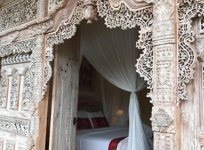 Kailash Bali *