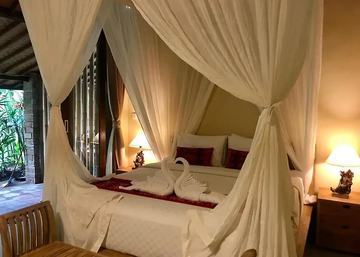 Kailash Bali *