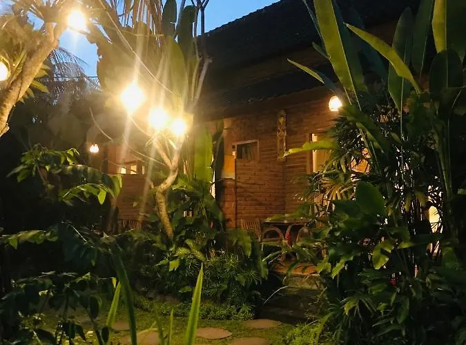 Kailash Bali *
