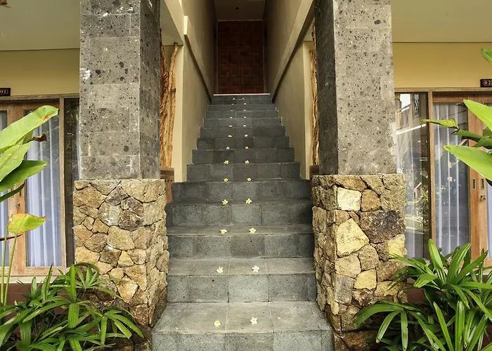 Kailash Bali *
