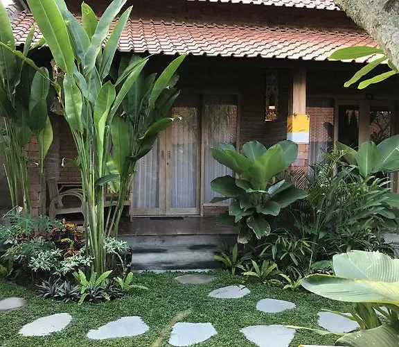 Kailash Bali *