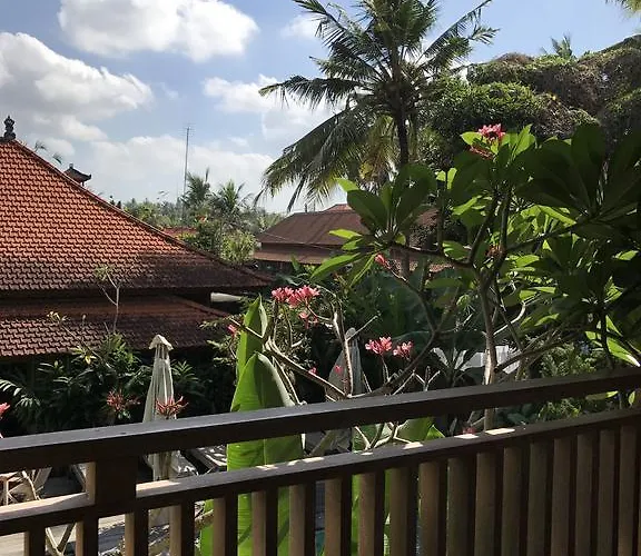 Kailash Bali *
