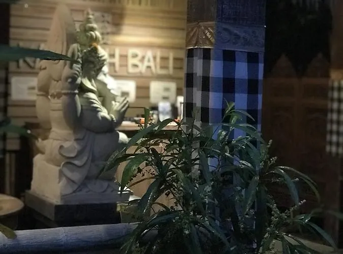 Kailash Bali *