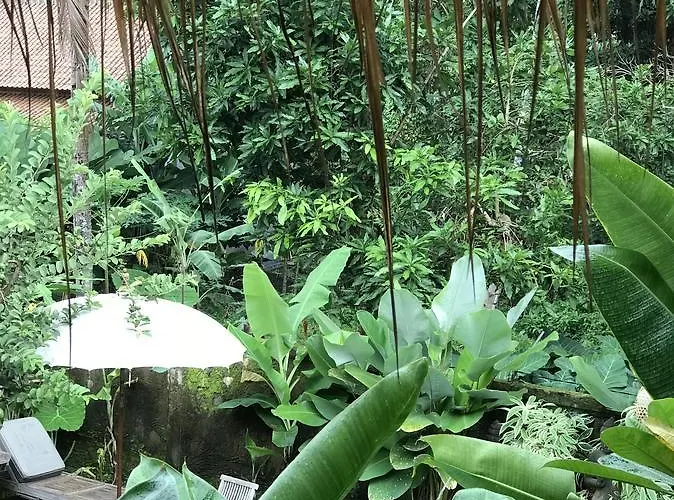 Kailash Bali Ubud