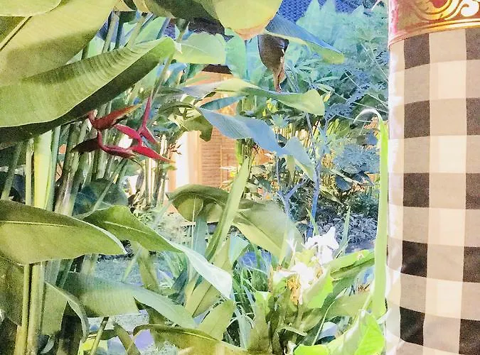 Quarto em Acomodações Particulares Kailash Bali