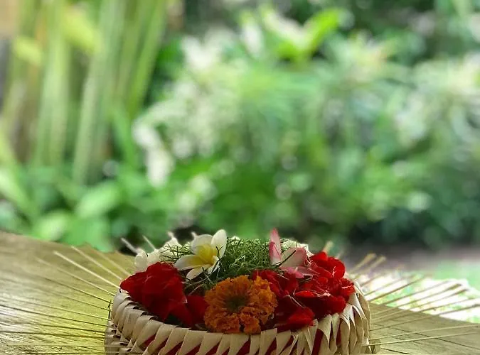 Kailash Bali *
